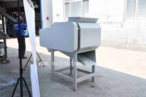Automatic cashew shelling machine