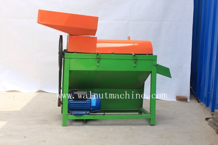 Factory outlets of green walnut machine